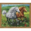 Collection D'Art Horses In The Meadow Diamond Painting -Robotime Zone 041257 90518.1664847981