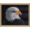 Collection D'Art White-Headed Eagle Diamond Painting 2 Collection D'Art White-Headed Eagle Diamond Painting -Robotime Zone 041714 18331.1693402701