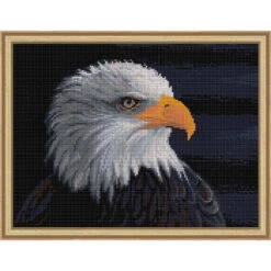 Collection D'Art White-Headed Eagle Diamond Painting