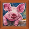 Diamond Art Piglet Diamond Painting -Robotime Zone 042362 89514.1693397447
