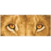 Diamond Dotz Lion Spy Diamond Painting -Robotime Zone 042563 2 08701.1699288365