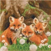 Crystal Art Foxes Diamond Painting -Robotime Zone 042598 90274.1669415687