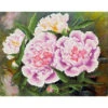 Diamond Dotz Romantic Pink Peonies Diamond Painting -Robotime Zone 043099 46967.1693397994