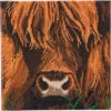 Crystal Art Highland Cow Diamond Painting -Robotime Zone 043161 31903.1683039723