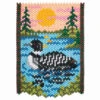 Herrschners Common Loon Pony Bead Kit -Robotime Zone 043559 98756.1693398281