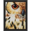 Lanarte Owl Diamond Painting -Robotime Zone 044320 87001.1693398734
