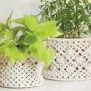 Herrschners Bohemian Baskets Kit Macrame -Robotime Zone 048339 55777.1693399591