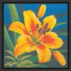 Herrschners Day Lily Longstitch Kit 2 Herrschners Day Lily Longstitch Kit -Robotime Zone 060638 97811.1693402076
