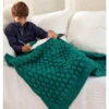 Premier® Premier Raised Pineapple Throw -Robotime Zone 205301 91921.1693428116