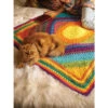 Lion Brand Rio Accent Afghan Crochet Kit -Robotime Zone 206259 75861.1693428575