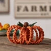 Herrschners Harvest Pumpkin Macrame -Robotime Zone 218301 67578.1693429080
