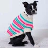 Red Heart Jazzy Stripes Dog Coat Knit Kit -Robotime Zone 226144 1 17458.1696276379
