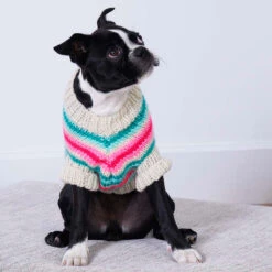 Red Heart Jazzy Stripes Dog Coat Knit Kit -Robotime Zone 226144 2 63609.1696276379