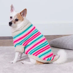 Red Heart Jazzy Stripes Dog Coat Knit Kit -Robotime Zone 226144 3 77695.1696276398