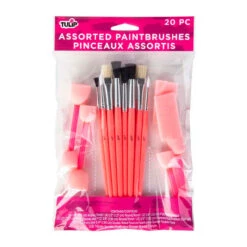 Assorted Paintbrushes, 20 Pack