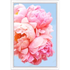 Pink Picasso Perfect Petals Paint-by-Number Kit