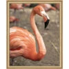 Pink Picasso Frannie Flamingo Paint-by-Number Kit 2 Pink Picasso Frannie Flamingo Paint-by-Number Kit -Robotime Zone 450441 59693.1693440067