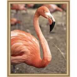 Pink Picasso Frannie Flamingo Paint-by-Number Kit
