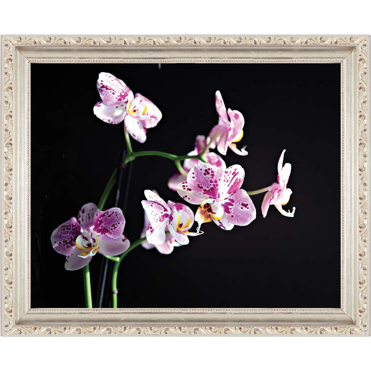 Pink Picasso Authenticity Paint-by-Number Kit 3 Pink Picasso Authenticity Paint-by-Number Kit