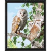 Herrschners Barn Owl Family Paint-by-Number Kit -Robotime Zone 450619 94430.1693440382