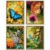 Schipper Butterflies Paint-by-Number Kit -Robotime Zone 450628 97830.1693440408