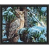Paintworks Great Horned Owl Paint-by-Number Kit 1 Paintworks Great Horned Owl Paint-by-Number Kit -Robotime Zone 451772 13386.1693441441