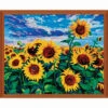 Adbrain Sunflower Field Paint-by-Number Kit -Robotime Zone 452513 95080.1693441621