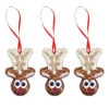 Sunrise Craft & Hobby Santa's Reindeer Ornament Kit -Robotime Zone 511204 62802.1693459280