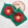 Village Yarn Poinsettia Dishcloths Crochet Kit -Robotime Zone 586075 63934.1693468144